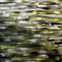 20120608114302-deja_vu__colour_displacement1000x