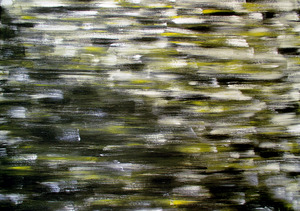 20120608114302-deja_vu__colour_displacement1000x