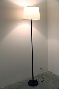 20120608163643-lamp4web