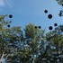20120608163924-ballons