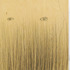 20120609194339-simulacrum-web