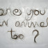 20120609215050-maya_rochat_animal