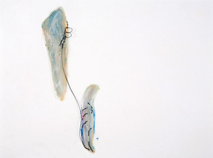 20120610180900-brotman-1
