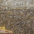 20120611190430-09_the_same_day_2011