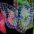 20120611215208-7010abcdelr