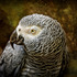 20120612010916-tuanda