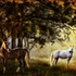 20120612011125-in_the_pasture