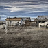 20120612011228-cisco_spirits