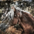 20120612164829-listening--edit-edit