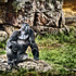 20120612012628-alpha_dreaming