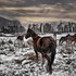 20120612012820-bozemanwinter