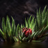20120612164547-emergent