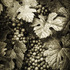 20120612165845-calistoga_cluster
