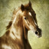 20120612171530-executive