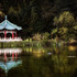 20120612171833-stow_lake_reflections