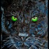 20120612194503-black_panther1