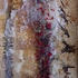 20120719181402-gougenheim_2_3_cosmos_2