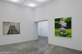Installation View,