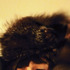 20120613094925-isminigoula_nothingistrue_72dpi