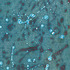 20120613211828-xc560-df95055_edited-1