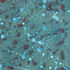 20120613212953-xc560-df95056_edited-1