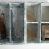 20120613222507-arctic_summer__2012__mixed_media_assemblage__14_22_x6_22_x4_22