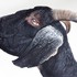 20120614151141-ester_curini-guardando-ad-est