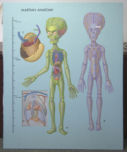 20120614204324-martian_anatomy