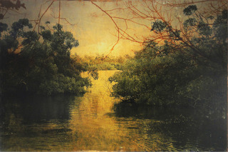 Sunset,Dorothy Simpson Krause
