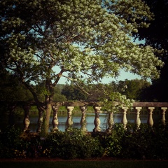 20120616004433-img_6220__snapseed