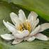 20120616115035-parse_image