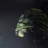 20120617134312-2009_oil_in_sololite__50x70cm