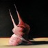 20130113102345-cibum_laboretur_i_copy