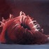20120618105031-conchea_iii