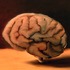 20120618110751-spiritum_liberum