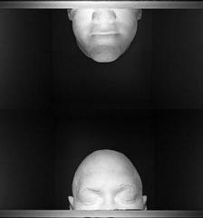 mouth to mind,Nic Nicosia