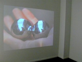 Meridians of the city,Birta Gudjonsdottir