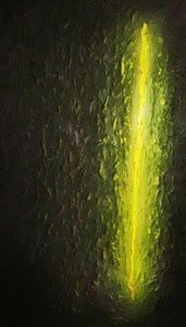 20120710012640-total_mass_retain_-_world_leader_pretend_005