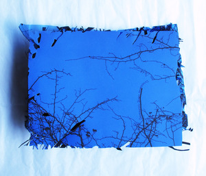 20120619152206-ginafuenteswalker_artist_book_masque_libros_2012
