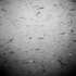 20120619174834-img048
