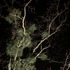 20120619175110-img_4788