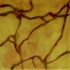 20120619180559-off_course
