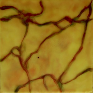 20120619180559-off_course