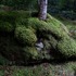 20120619180656-_mg_9228