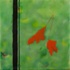 20120619182008-orange_leaves
