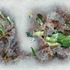 20120619225830-untitled_peibatnicd_sm3