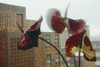 20120619230849-abrie_fourie_sunnyside_view_plein_street