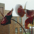20120619230849-abrie_fourie_sunnyside_view_plein_street