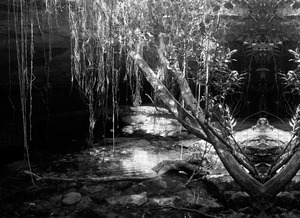 20120620045014-chantelames_c_underwater_burial