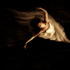 20120620091138-_dsc1303__2_